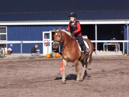 IMG_7117_web
